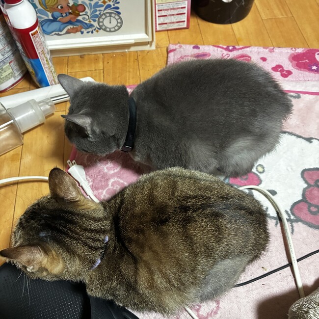 ゆじん。のカバー写真