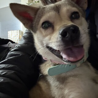 調整中のため一旦ストップにてお願いします。