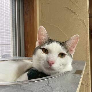 元気なヤンチャっ子「そうめん」くん！