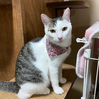 よく遊びよく食べる元気っ子「れいめん」ちゃん！