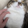  さん