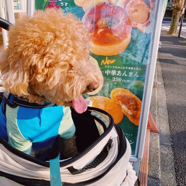 僕のメニューが無いなんて