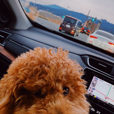 富士山を見ながらドライブ