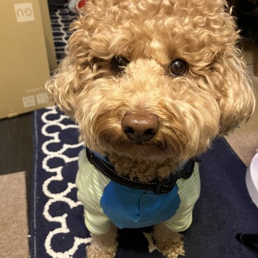 かまってください