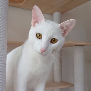 白って200色あんねん⭐︎雪くん