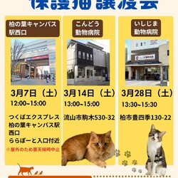 流山市♡保護猫譲渡会♡NPO法人にゃん2 サムネイル1