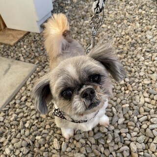 なでなで大好きなプリンちゃん