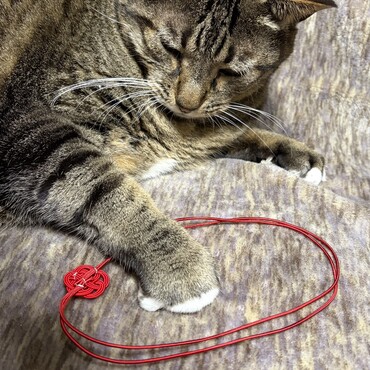 僕のですから！