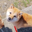 お引き取りお願いします