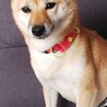 お引き取りお願いします サムネイル2