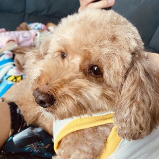 お引き取りお願いします