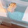 【バナナバンブルビー】ボールパイソンの里親募集 サムネイル2