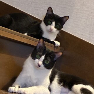 とにかく可愛いぶっちゃん♡