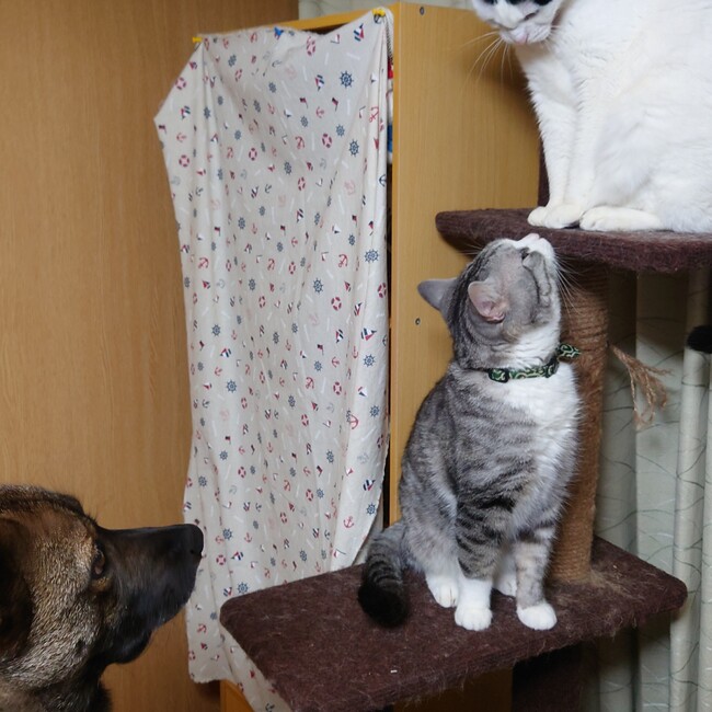 銀三のカバー写真