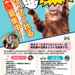 猫の里親会 サムネイル3