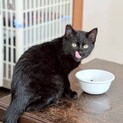 社交性あり！
