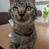 天真爛漫なやんちゃ姫 サムネイル2