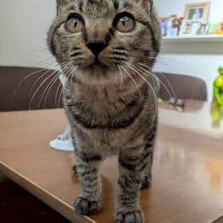 天真爛漫なやんちゃ姫