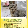 たくさん遊んで！構って！ サムネイル3