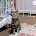 とってもかわいい顔の男の子