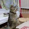とってもかわいい顔の男の子 サムネイル2