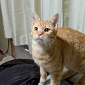 人がとってもだいすき！