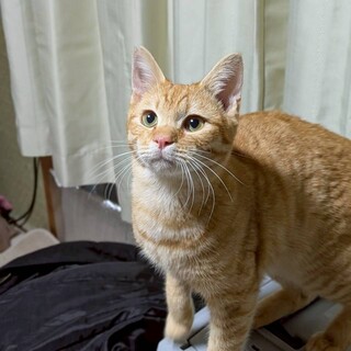 人がとってもだいすき！