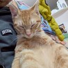 人がとってもだいすき！ サムネイル2