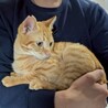 人がとってもだいすき！ サムネイル3