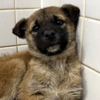 ※優先期間内にお迎え下さい　3月12日迄