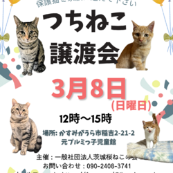 つちねこ譲渡会