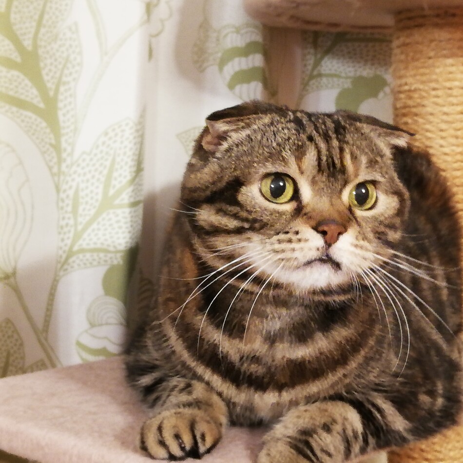 まるのカバー写真