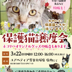 保護猫譲渡会@ユアペティア雪谷大塚
