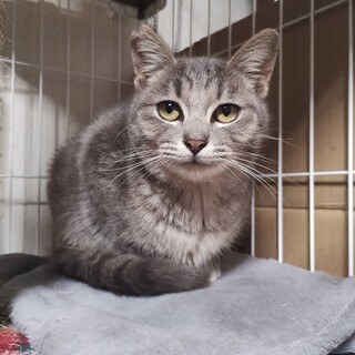 4〜5ヶ月の抱っこ大好き可愛いハイネちゃん！