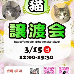 ほごねこ東京譲渡会＠駒込