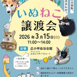 いぬねこ譲渡会