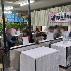 第38回 平野ろまねこ譲渡会 サムネイル2