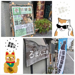 第38回 平野ろまねこ譲渡会 サムネイル3