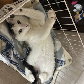 たったひとりで生き抜いてきた子♡銀次