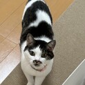 僕、お利口さんです。