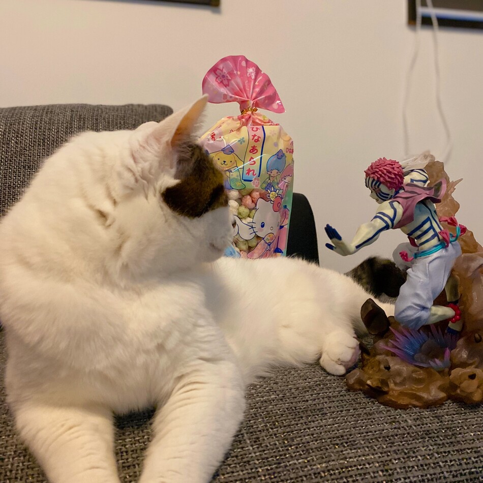 ルキのカバー写真