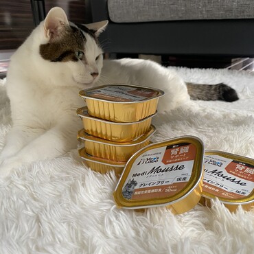 お気に入りのごはん