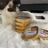 お気に入りのごはん