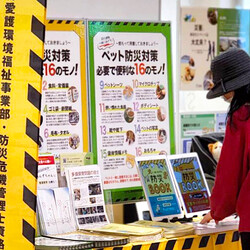 犬と猫と人のマルシェ サムネイル3