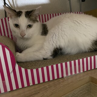 とってもシャイな男の子です