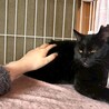 おっとり系女子 サムネイル2