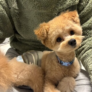 元気いっぱいフレンドリーな男の子♡ソイくん