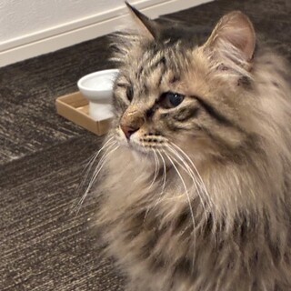 ゴージャス！国宝級イケメン♥プリンス幸四郎