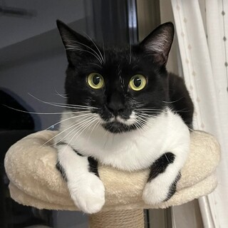 私、ひなた。急がず、信頼を重ねます。