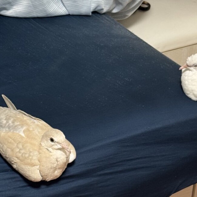 tkm_のカバー写真